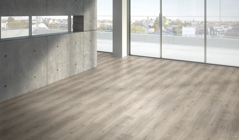 PARADOR Eiche grau geweißt Basic 4.3 Landhausdiele Gebürstete Struktur - Der Vinylshop