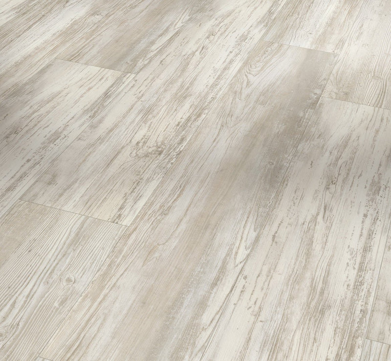 PARADOR Pinie skandinavisch weiß Basic 5.3 Landhausdiele Gebürstete Struktur - Der Vinylshop