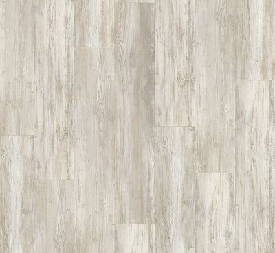 PARADOR Pinie skandinavisch weiß Basic 5.3 Landhausdiele Gebürstete Struktur - Der Vinylshop