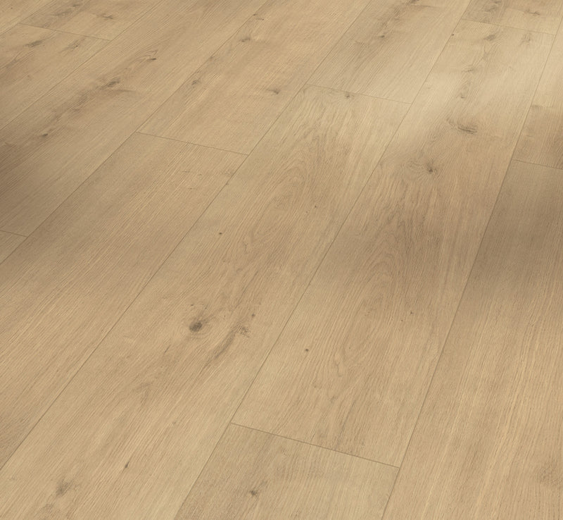 PARADOR Modular ONE Eiche Pure natur Landhausdiele Holzstruktur